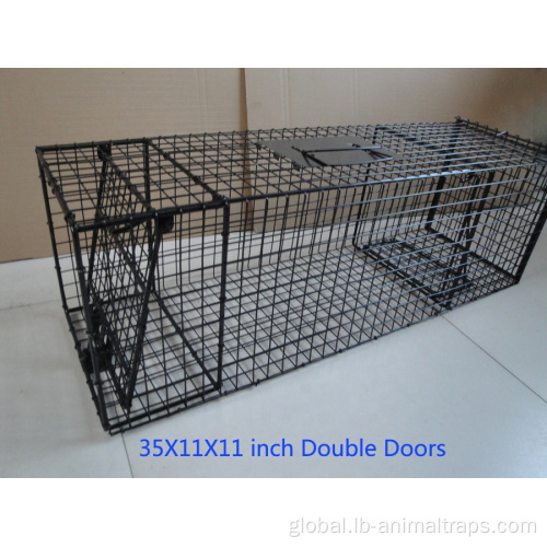 Sus304 Stainless Steel Wire Mesh Steel Wire Mesh Live Animal Trap Cages Manufactory